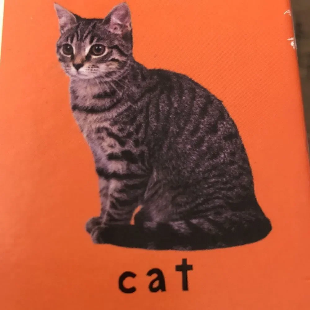First 💯 Words Activity Game by BriarPatch No Reading Required Fun🤩 4 Wee Ones!